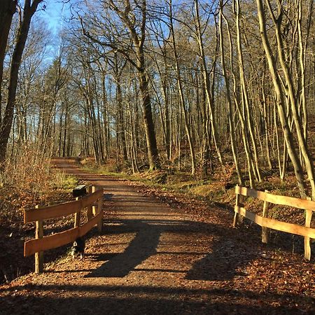 Waldmuehle Appartement Schleswig Buitenkant foto