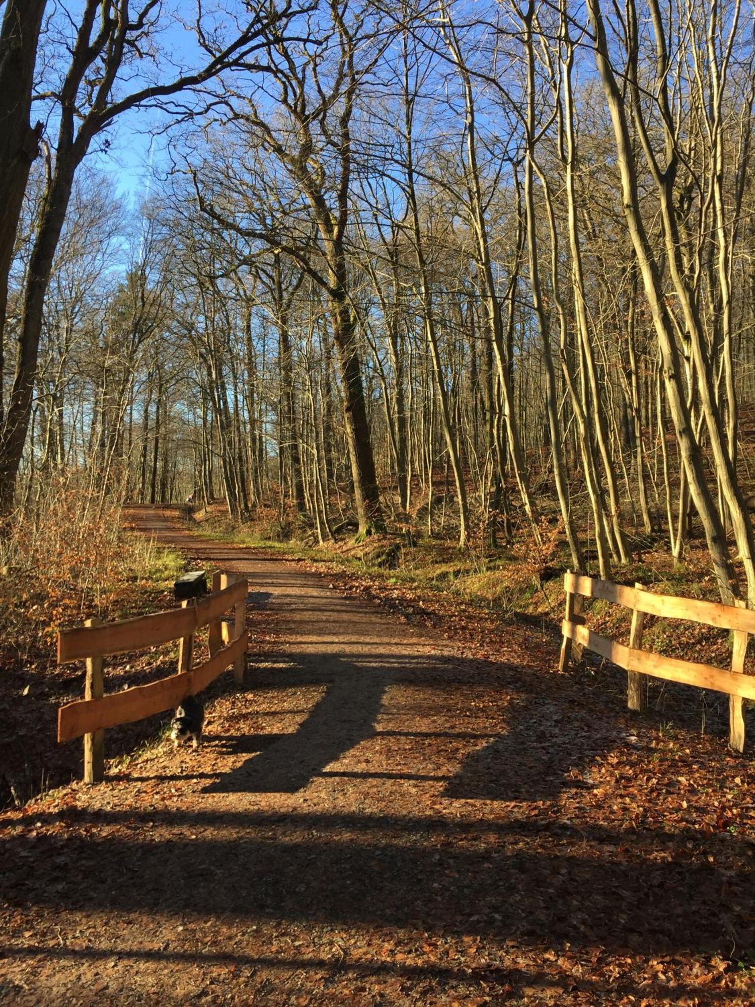 Waldmuehle Appartement Schleswig Buitenkant foto